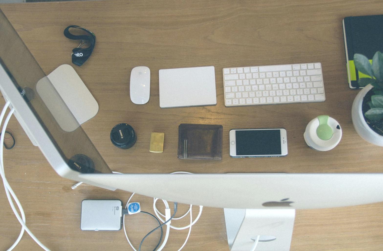 Professional financial fraud prevention consultation environment